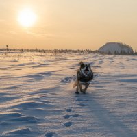 Восторг. :: Владимир Мигонькин