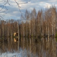 Затопило :: Сергей Цветков
