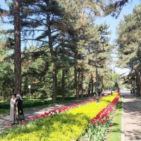 Almaty. :: Murat Bukaev 