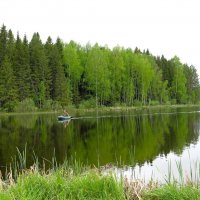 С рыбалки :: Лариса С.