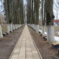 Московская область. Ашукино. Аллея памяти в честь бойцов Софринской бригады. :: Наташа *****