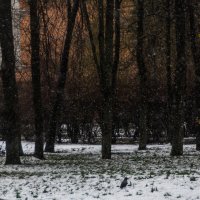 Снег в апреле :: Chortyla 