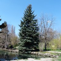 Пейзажи  Крыма :: Валентин Семчишин