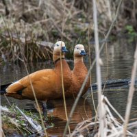 Семейка :: Павел Катков
