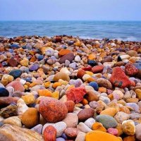 "Дары Моря" :: Валерий Кокорев