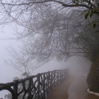 Пешком по горам и туману :: Георгий А