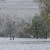 Не май. :: Николай 