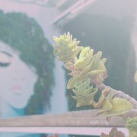 14  КЛОС (142) :: CLOSE WAYS ALL