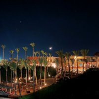 Восточная ночь :: Виктор Савельев