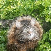 Взгляд в даль! :: Нина Андронова