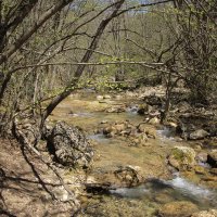 Неторопливая весна... :: Дмитрий А