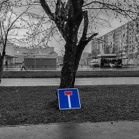 Dead-end (s)tree(t) :: Дмитрий Костоусов