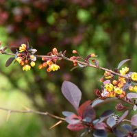 *** :: Павленко Михаил 