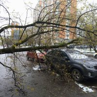 И нас не обошла сия чаша. Но здесь еще и повезло :: Андрей Лукьянов