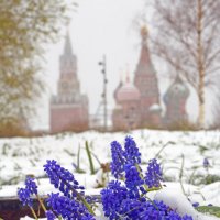 Снегопад 27 апреля :: Михаил Бибичков