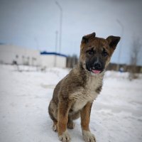 Уличный :: Александр 