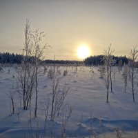 Зимний пейзаж :: Александр 