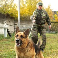 Задержание :: СЮ 