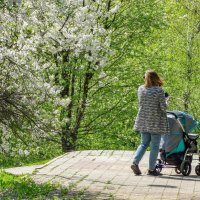 Яблони в цвету, весны творенье ... :: Ravile 