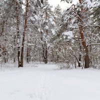 Снежный пейзаж весна :: Александр Синдерёв Снежный пейзаж весна :: Александр Синдерёв