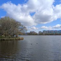 Белокрылые облака... :: Мария Васильева