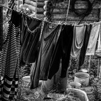 Сельский быт :: Владимир Гришин