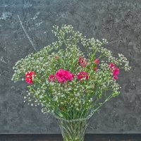 (°-°) :: Jakob Dick