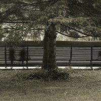 По ту сторону действительности :: Виктор Савельев