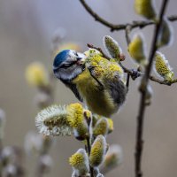 .... :: Павел Катков