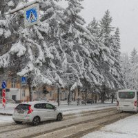 Апрель порадовал :: Виктор Иванович Чернюк