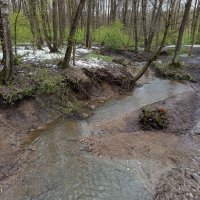 Ну, Очень скромное обаяние апреля :: Андрей Лукьянов