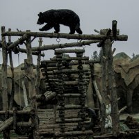 ВАХ-ВАх-Вах, а Я иду шагаю ПО ----- :: Владимир Максимов