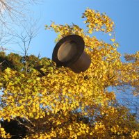 октябрь :: Елена Шаламова