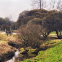 Парковый пейзаж. :: Лилия *