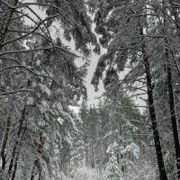 Картина "Не проехать" :: sorovey Sol
