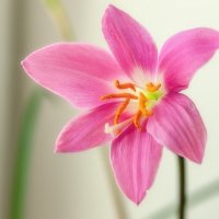 *** :: Виктор Иванович Чернюк