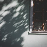 Свет и Тень :: Вячеслав Владимирович