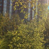 Сегодня солнечно, 03.05.2026 :: Anna-Sabina Anna-Sabina