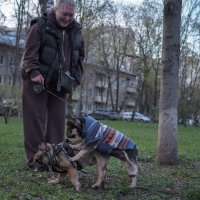 Собачьи Радости :: юрий поляков Собачьи Радости :: юрий поляков