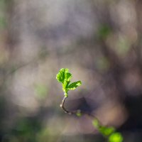 ___ :: Yuriy V