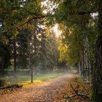 В парке :: Лилия 