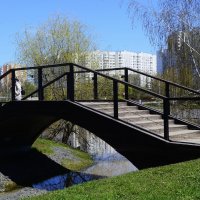 На прогулке с питомцами. :: Василий Палий