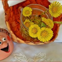 Ура! С нами мать-и-мачеха! :: Валентина  Нефёдова 