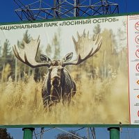 Символ Лосиного острова :: Андрей Лукьянов Символ Лосиного острова :: Андрей Лукьянов