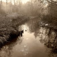 Вода :: Марина 
