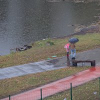 Домой :: Арсений Корицкий