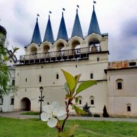 Монастырская колокольня :: Сергей Кочнев Монастырская колокольня :: Сергей Кочнев
