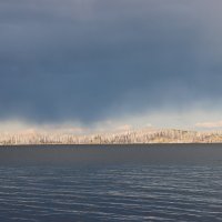 Ветреная погода :: Галина Ильясова