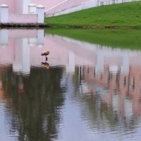 Зеркальная реальность :: Анатолий Жарский