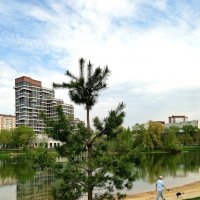 Город. :: Любимова Ольга 